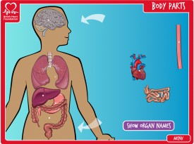 British Heart Foundation: Interactive Whiteboard Activities