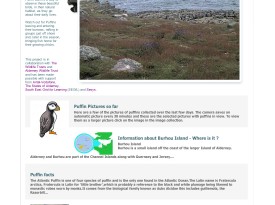 Puffin Cam Website